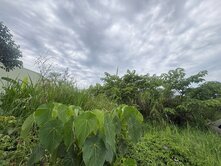 專任-新竹科學園區旁~投資置產保護區土地