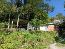 三峽區近長春園景觀持林地