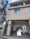 【八德介壽黃金邊間】捷運 G03 站透天