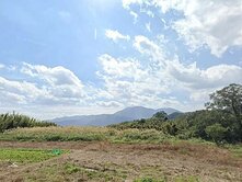 金山．北海岸．倒照湖農地2407