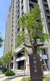 龜山區樂善一路  A7丹佛花都二房車