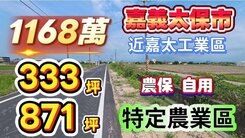 嘉義太保溪南黃金風鈴木/前路後巷美農地