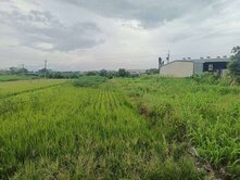 大寮都內雙面路農地近和發產業園區-發