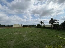 萬丹竹林近車站面寬方正農地