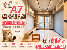 專任必看專屬貓貓的溫暖居家舒適幸福宅2+1房車