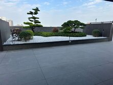 稀有釋出《自由朗誦》高樓層採光佳2房+平車