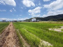 礁溪白鵝資材室農地