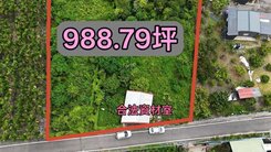 屏東高樹雙地號相連｜近千坪臨路有電農地投資首選