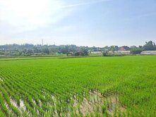 桃園市大溪區東隆段農地 