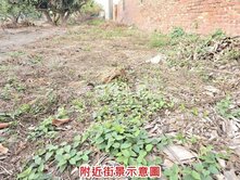 專-麻豆潛力都內農