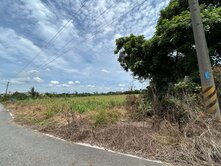 專約鹽水優質農地大基地持份釋出