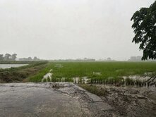 專約白河都計農地大面積稀有釋出