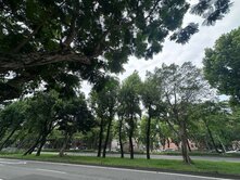 專任約台大校園電梯高樓三房(教大實小/金華學區)
