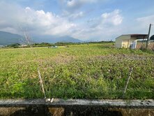 屏東縣高樹鄉正15米路農牧用地