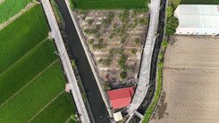 橋頭九甲圍段臨路農地