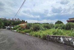 龍潭大平段紅橋三坑老街都計內美農地
