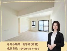 專員【房仲小眼睛】大墩學區｜高樓雙衛開窗3房雙平車