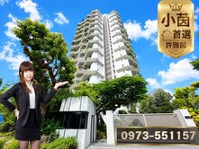 √小茵首選㊣精銳sky one三房雙平車朝南視野戶