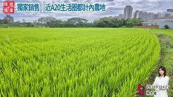 💯獨家銷售｜近A20生活圈都計內農地💯