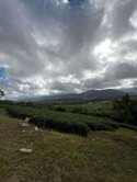 超大地坪(建地)｜稀有慢活美宅｜退休、民宿、自住