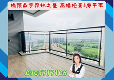 ☘️橋頭鼎宇森林之星☘️高樓極景/輕屋齡/３房平車