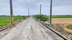 嘉義縣太保市漂亮農作農地