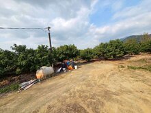 🍎杉林臨路地形漂亮優質農地