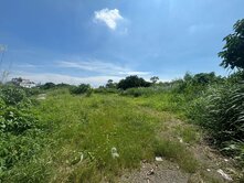 🍎大樹保安🍎農地綠意景觀休閒投資首選佳地