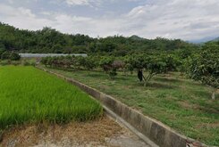 美濃廣興無敵山景便宜農地