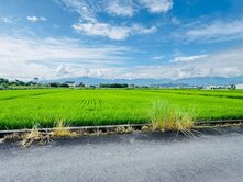 三星農地/931.9坪