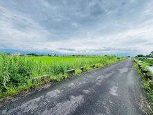 三星農地/931.9坪