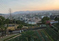 ►樹林大同山景觀休閒農地~雙路邊有資材室◄中信小馬