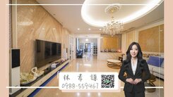 🏆 榮總霞海八德商圈｜百坪大地坪｜六車電梯豪墅