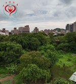橋子頭一段農地