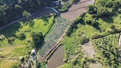 南投國姓鄉｜國姓路旁農地｜1580坪｜售800萬
