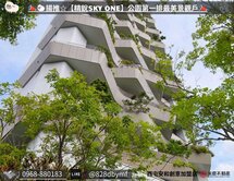 🐑揚推【精銳sky one】公園第一排最美景觀戶