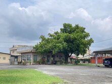 屏東崁頂丁建/稀有2萬6千坪廠房