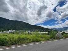 🌿 埔里牛尾段｜山城田園好風光｜雙面臨路優質農地