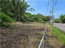 玉井台20線25米路旁大面寬9.85分農地