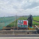 雲林縣二崙八角亭美農地