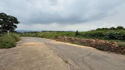 南投名間8米路平坦農地(專任)
