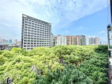 🏠雙敦樹海林蔭頂樓 敦化南路第一排4房🌳