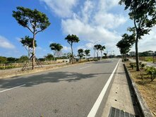 青埔大竹✨正中興路20米道路｜漂亮方正農地（出價談