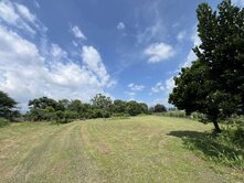 里港｜瀰力肚段｜近國10臨路9.14分方正美農地