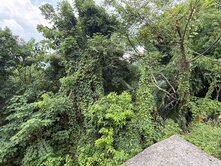 💫北屯/都計內農地1681坪💫