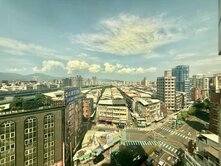 專任☀️太平洋花廣採光小品☀️