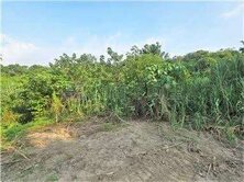 玉井台20線25米路大面寬1.9甲農地 我是承辦