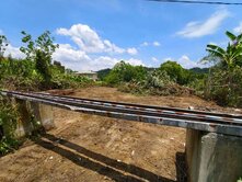 白雞優質丙建