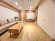 ###內壢環中商圈健康城市三房車