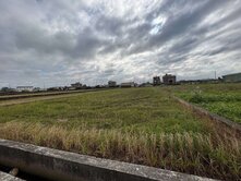 新豐中崙段方正的美農地-2